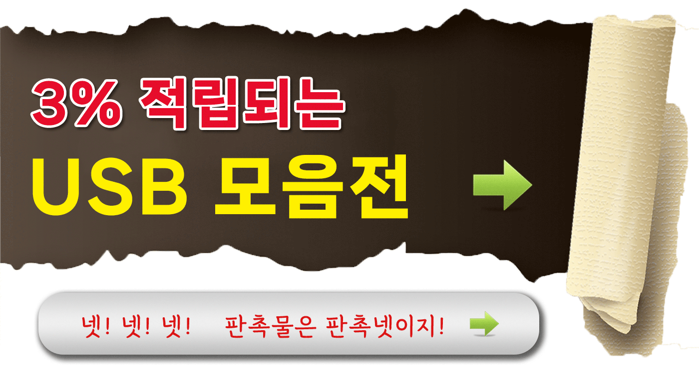 USB기념품