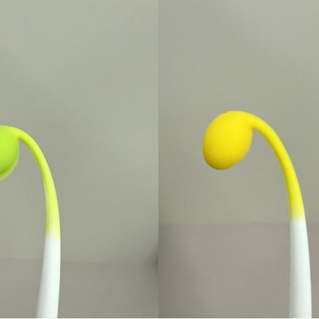 친환경 그린 옐로우 플라워 장식 코튼 스왑 면봉