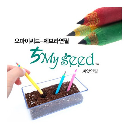 오마이 씨드펜 친환경 바이오라이트 종이 재질 파종용 펜슬