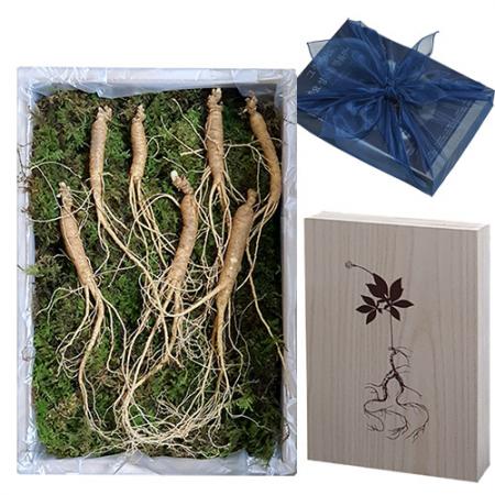 국산 프리미엄 천연 조릿대 추출물 건강 기능식품