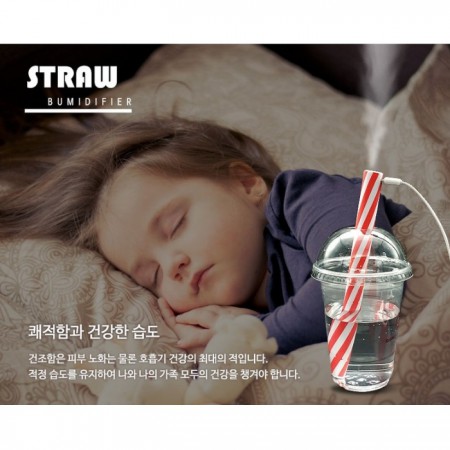 화이트 휴대용 미니 USB 펜타입 아로마 가습기