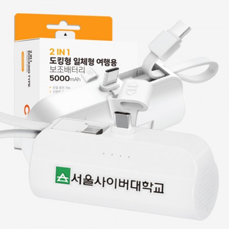 NEW 루야스 2in1 도킹형 보조배터리제작 일체형 여행용 미니 소형 5000mAh NEW 루야스 2in1 도킹형 보조배터리제작 일체형 여행용 미니 소형 5000mAh